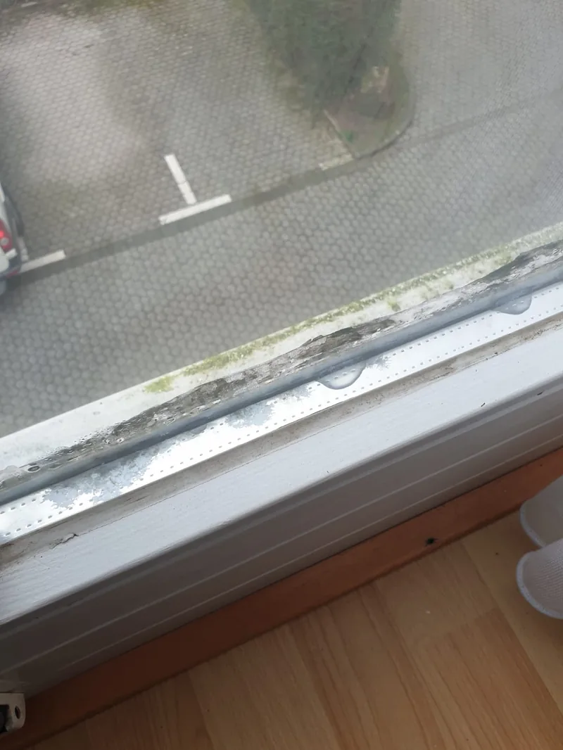 Blinde Isolierglasscheibe mit Feuchtigkeit zwischen den Scheiben